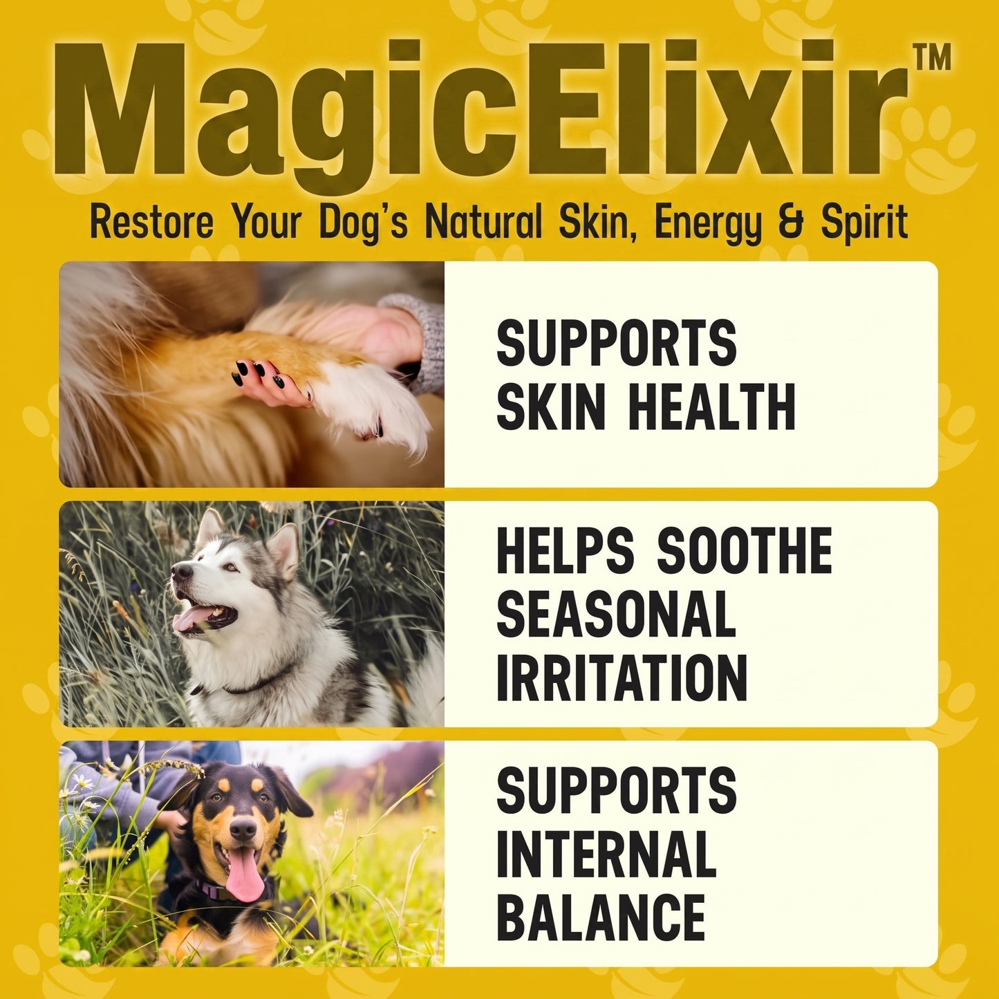 MagicElixir™ – Dog Skin, Coat & Hydration Support