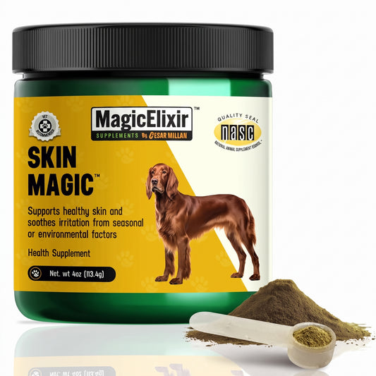 MagicElixir™ – Dog Skin, Coat & Hydration Support