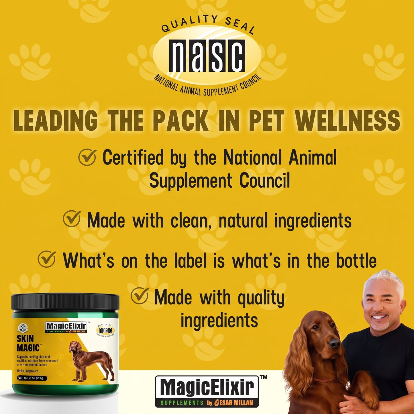 MagicElixir™ – Dog Skin, Coat & Hydration Support